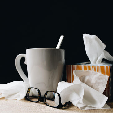 Best foods to eat when you're sick