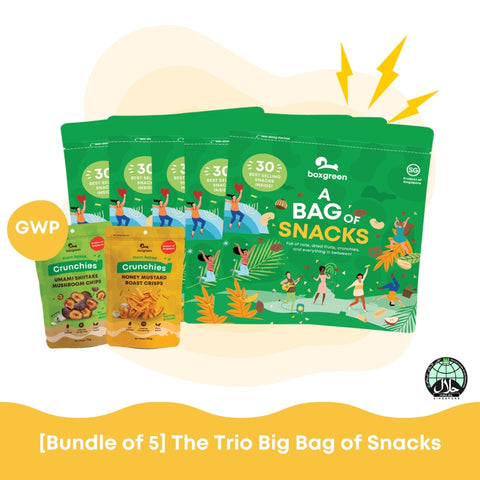 [Bundle of 5] The Trio Big Bag of Snacks