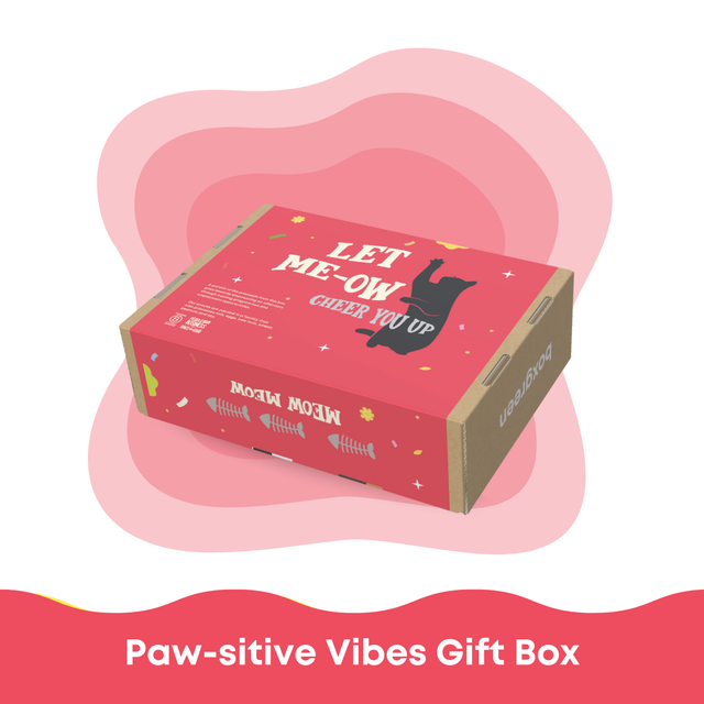 Paw-sitive Vibes Gift Box